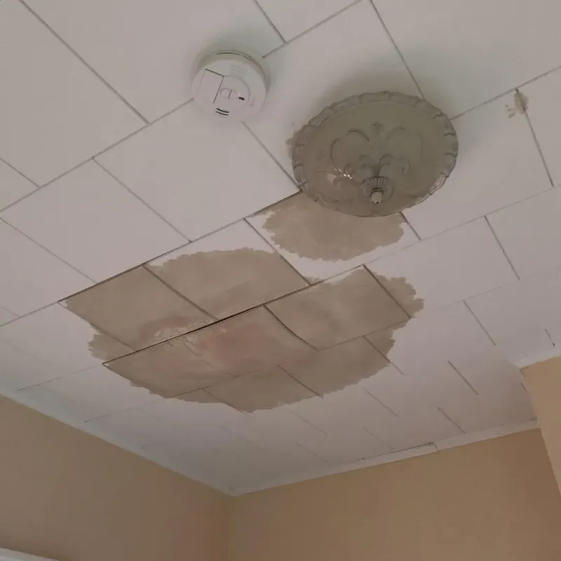 Ceiling Water Damage Repair in Redby, MN
