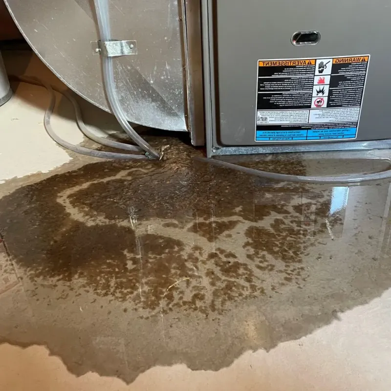 Pipe Burst and Leak Restoration in Redby, MN