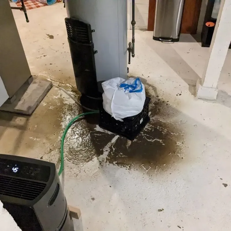 Sewage Backup Cleanup Service in Redby, MN